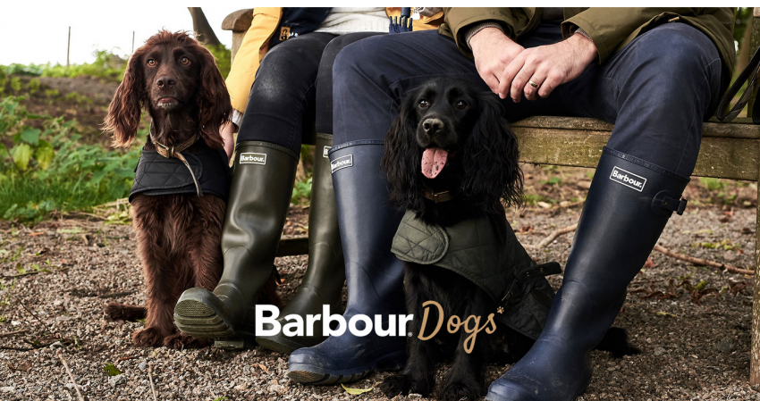 barbour dog wear